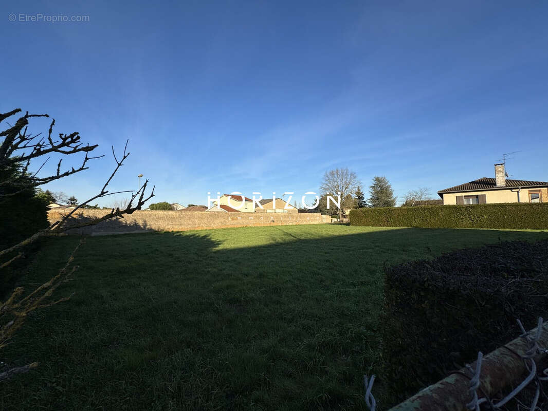 Terrain à SAINT-DIDIER-SUR-CHALARONNE