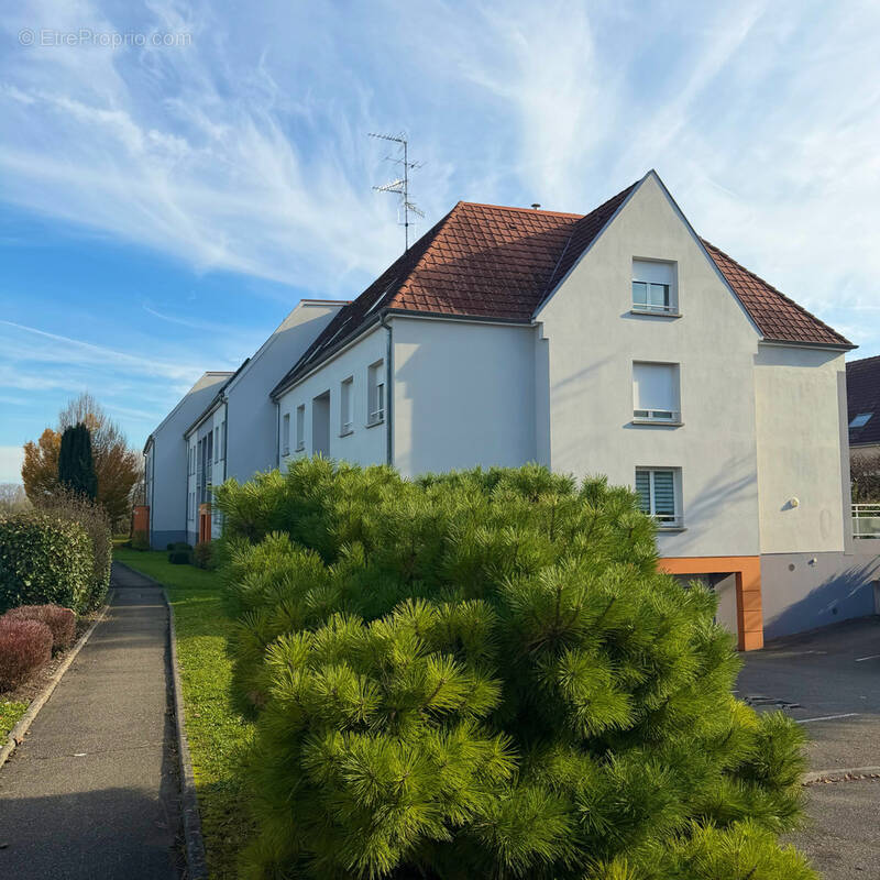 Appartement à BARTENHEIM