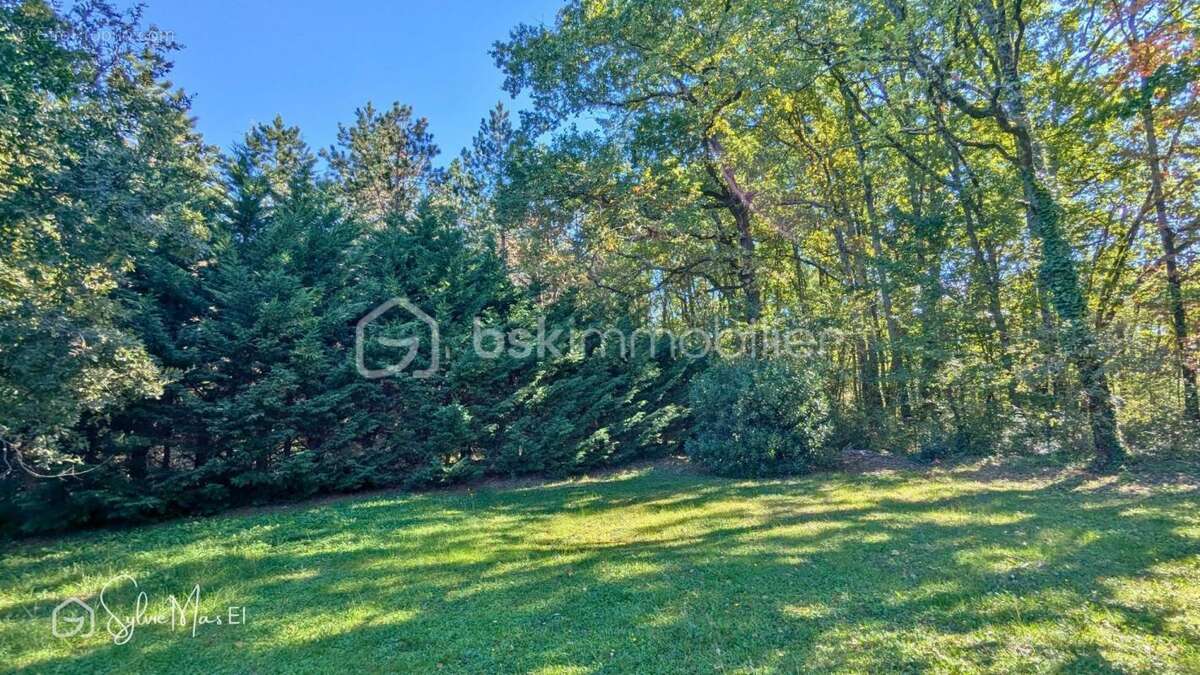 Maison 5 chambres - jardin 3320 m2 - photo 12
