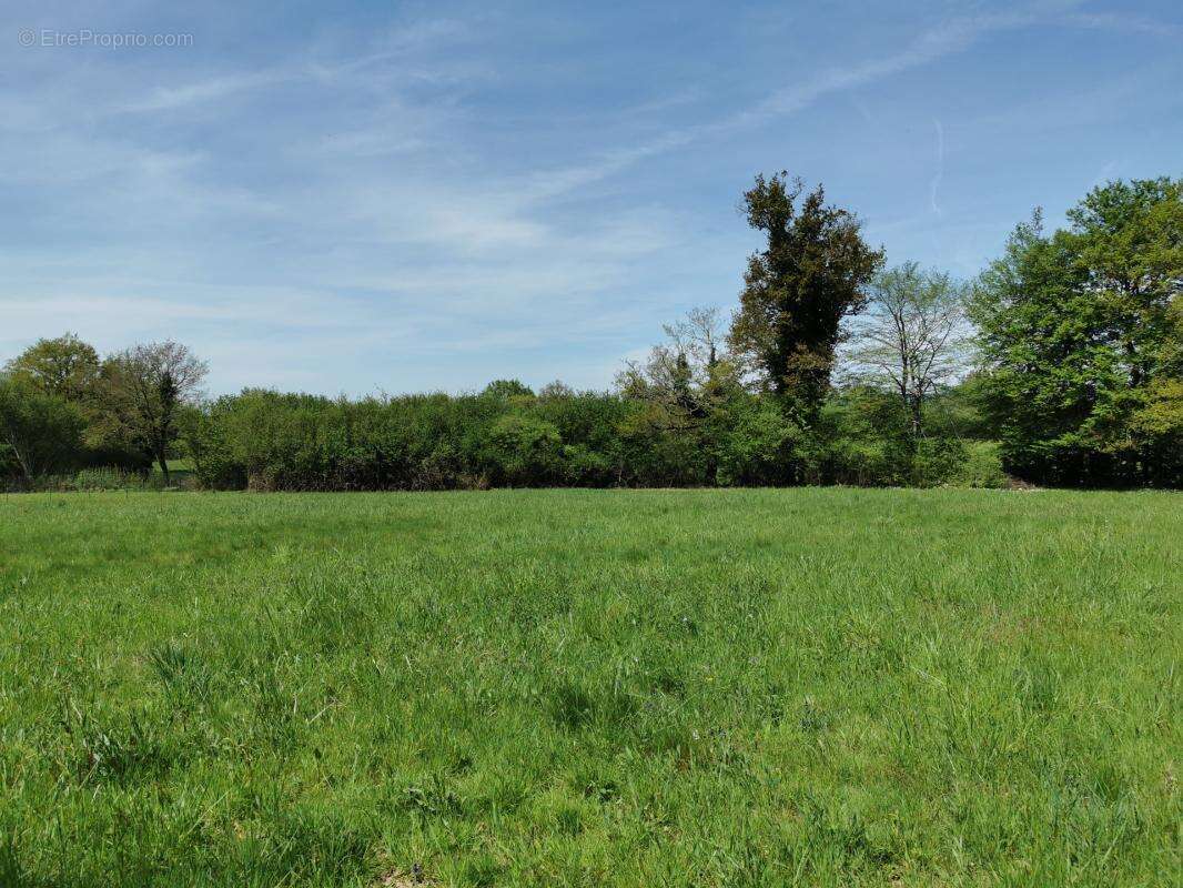 Terrain plat 4148m² - calme - environnement campagne - photo 7