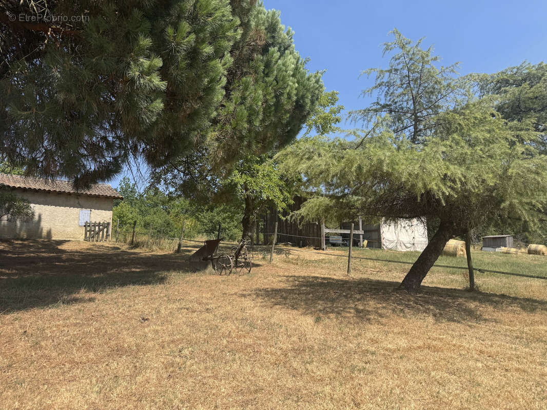 Propriété d'exception 203 m2 & Dépendances de 215 m2 - photo 22
