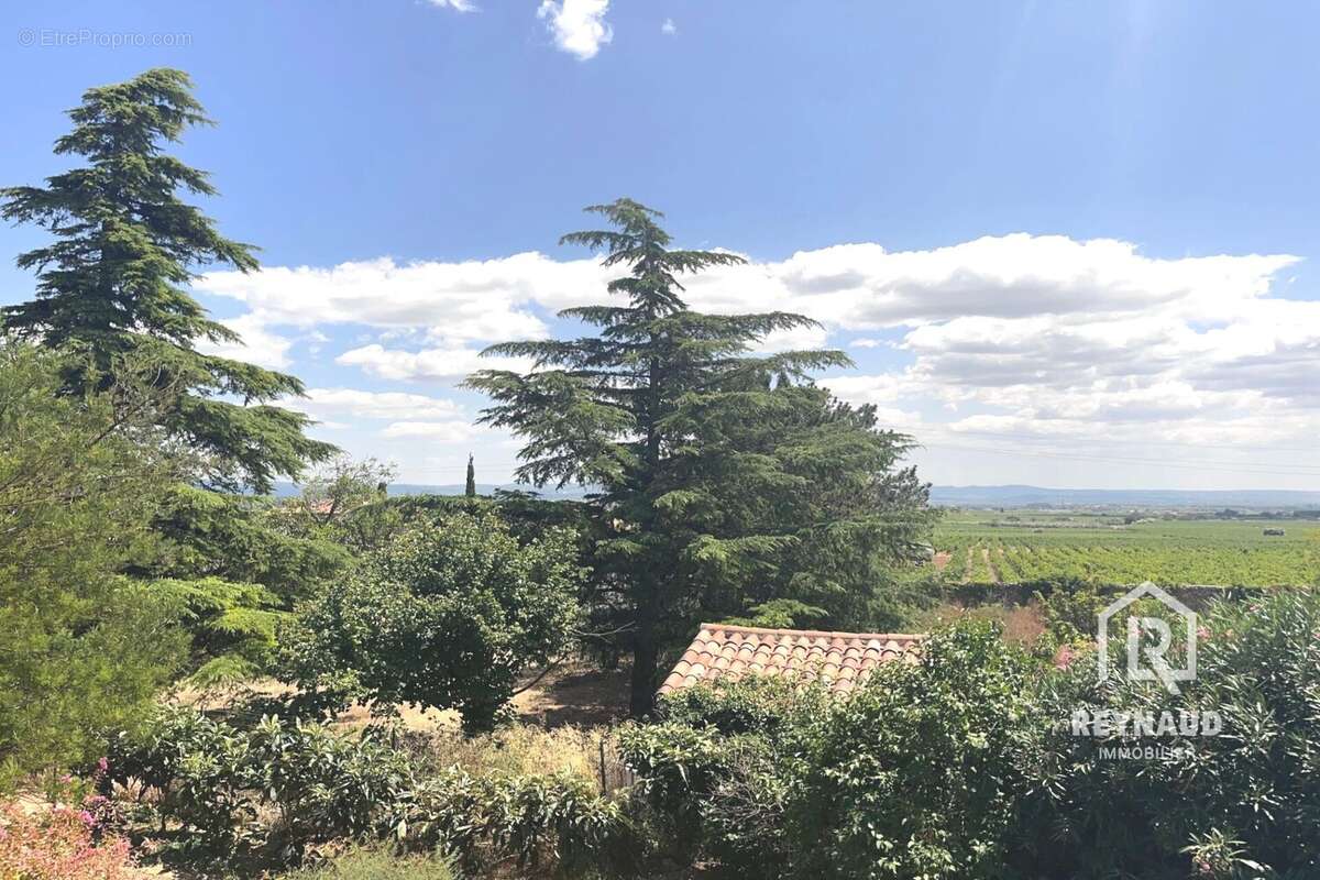 Maison à SAINT-FELIX-DE-LODEZ