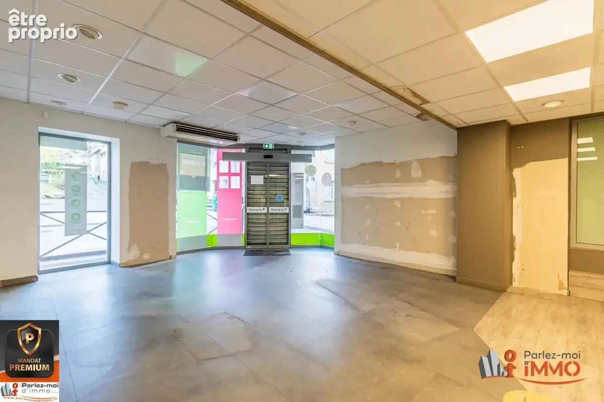 Immobilier Professionnel à vendre Chasselay - photo 4