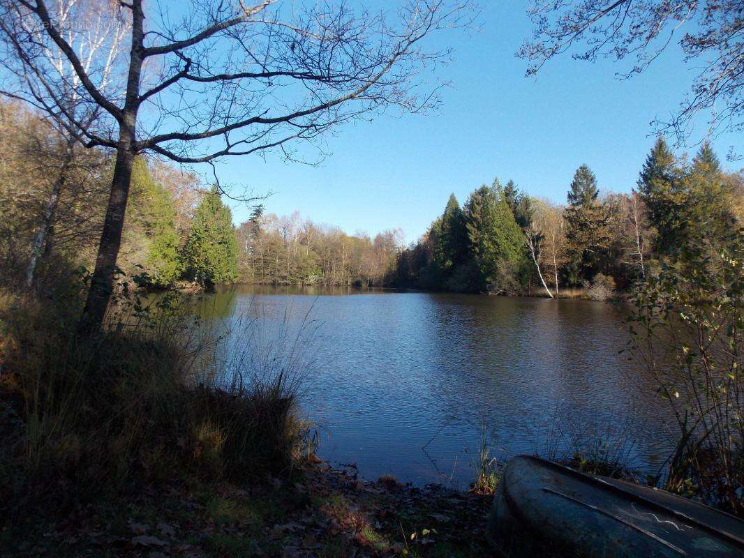 Terrain à LA CHAPELLE-MONTBRANDEIX