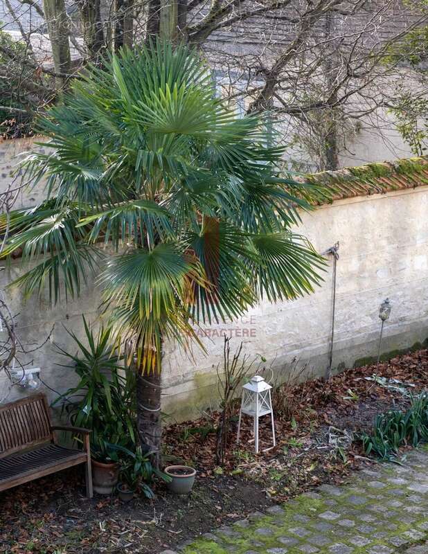 Maison à FONTAINEBLEAU