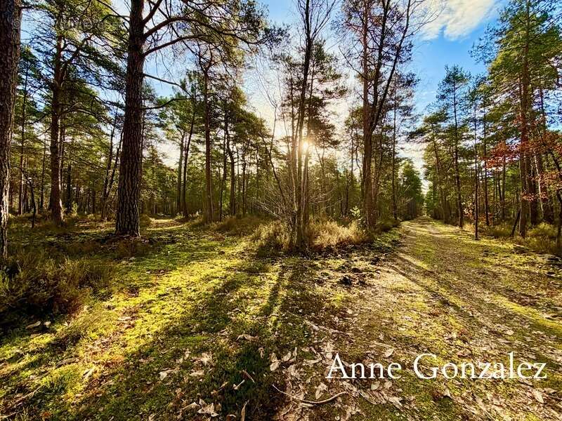 Maison à VIENNE-EN-VAL