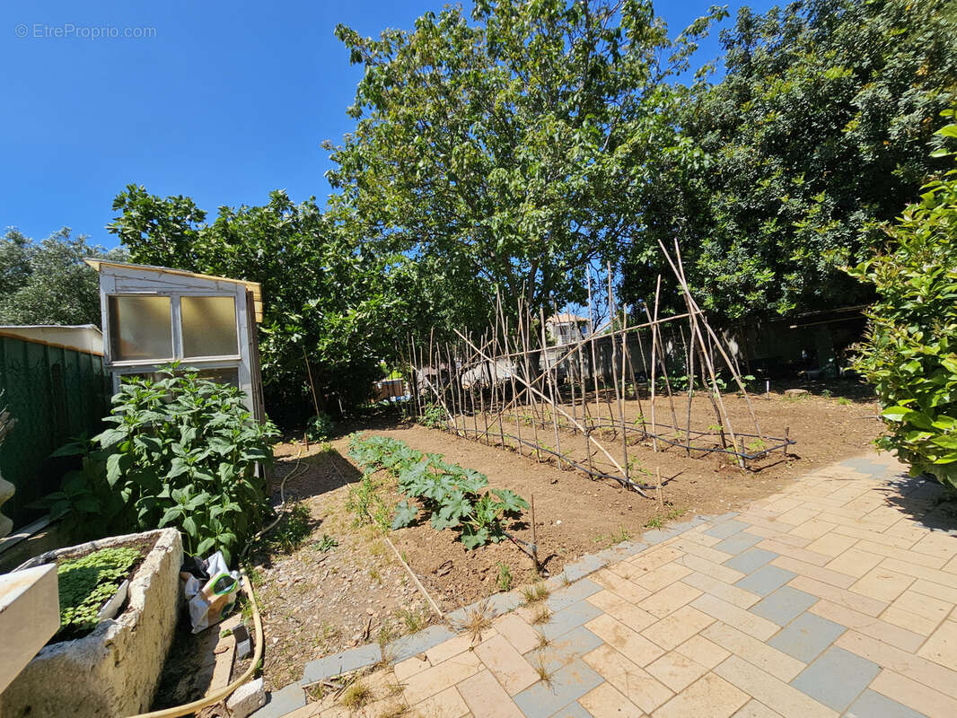 Maison à BALARUC-LE-VIEUX