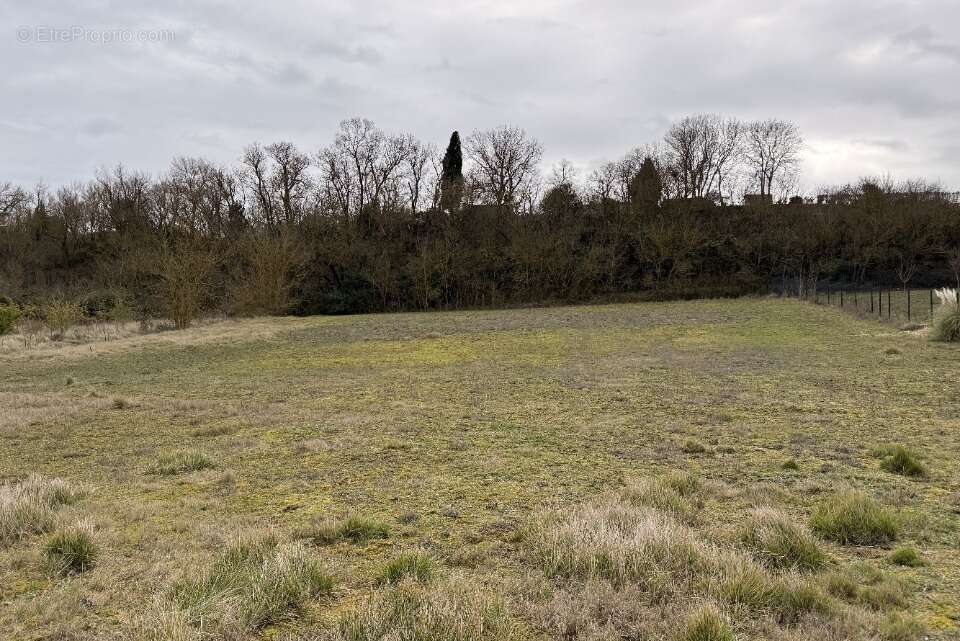 Terrain à SAINT-MARTIN-LALANDE