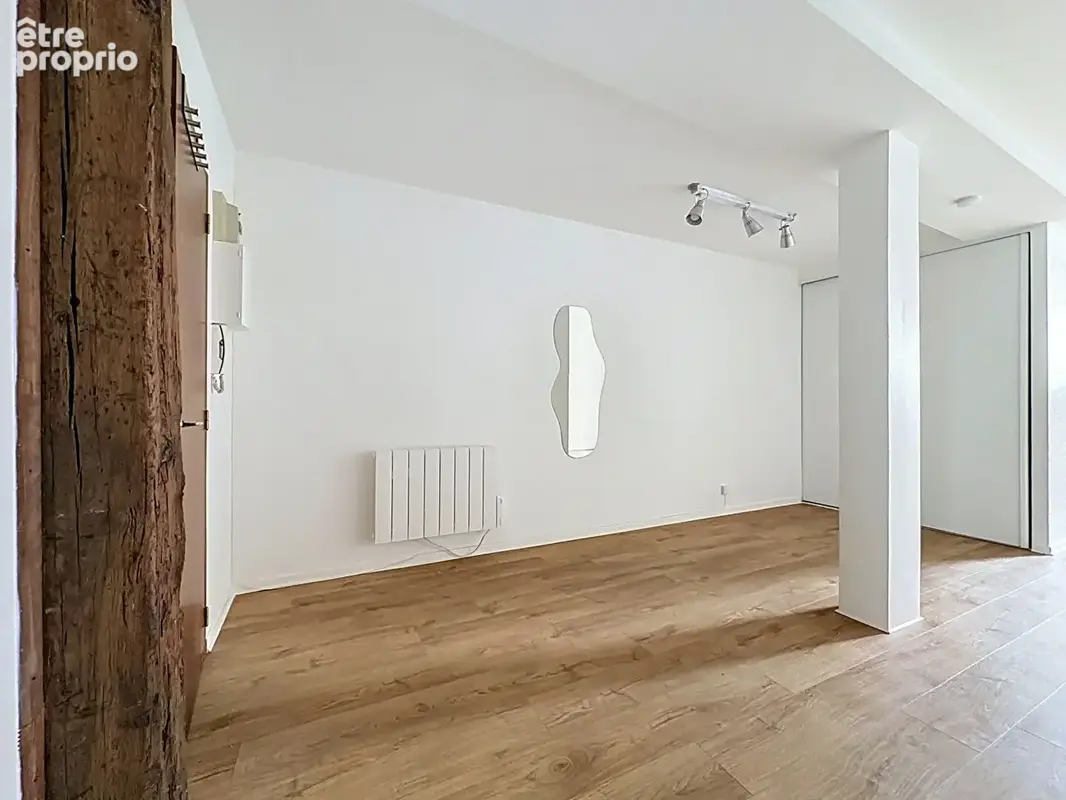Rare en hypercentre rue piétonne du tillot appartement dijon 1 pièce 43 m2 - photo 6