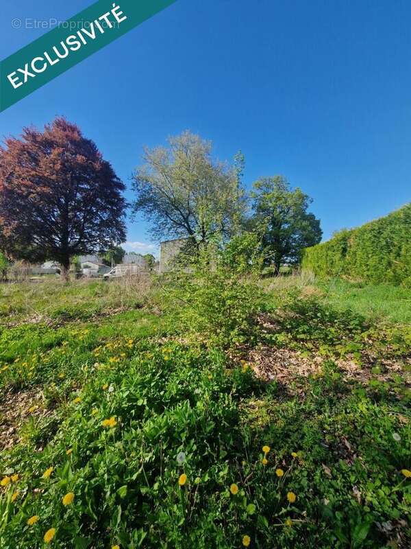 Photo 3 - Terrain à PIERREPONT