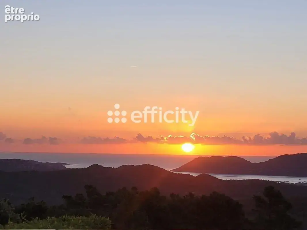 Maison 13 pièces 330 m² à vendre à Porto-Vecchio (20137) - photo 9