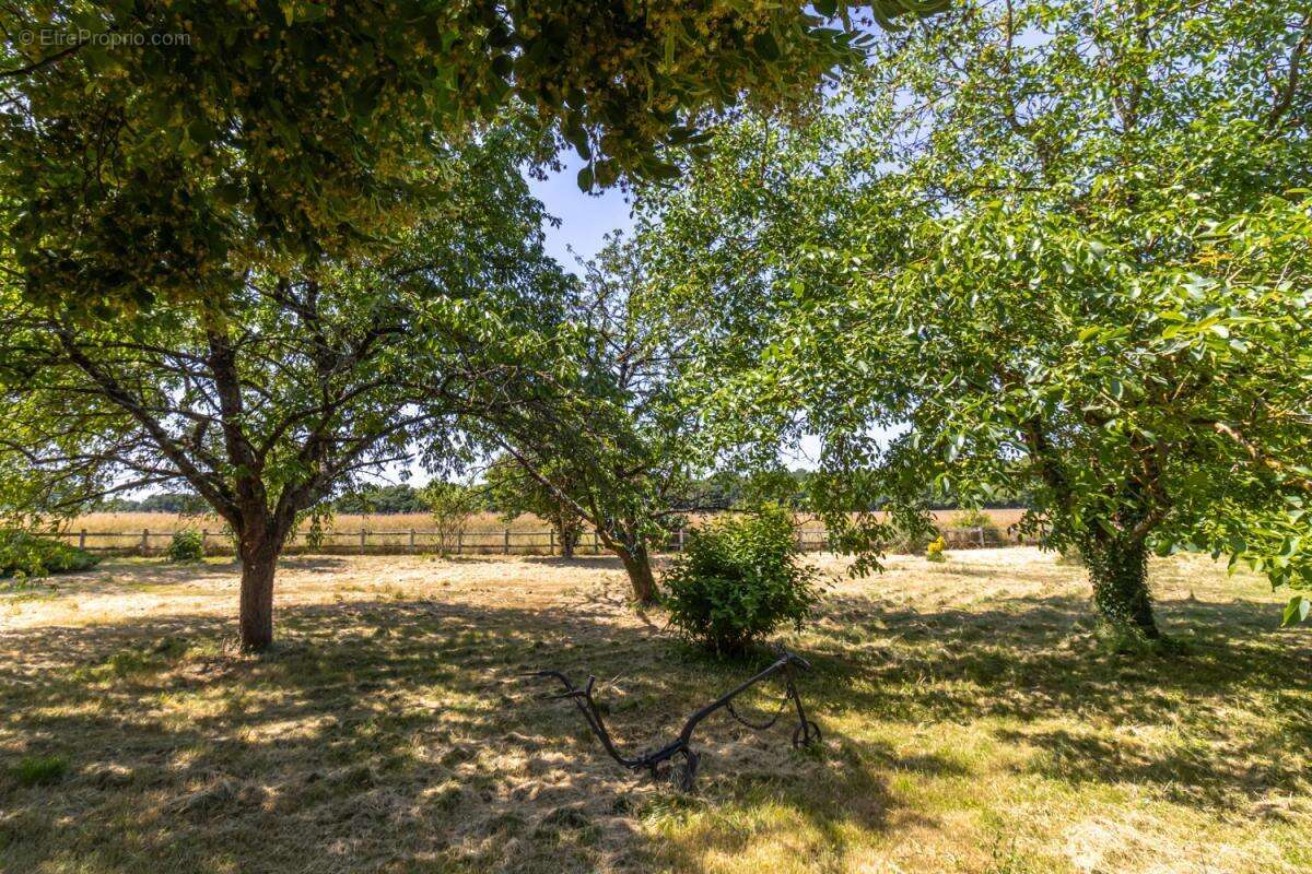 Maison à SAINT-CHRISTOPHE-EN-BAZELLE