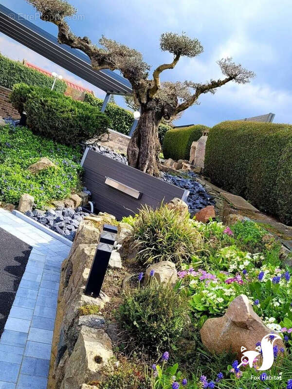 Maison à MARETZ
