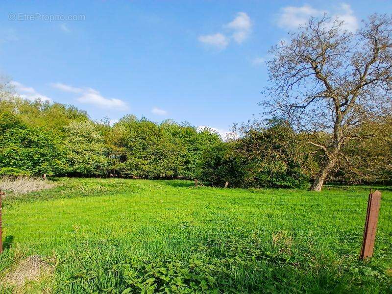 Maison à QUOEUX-HAUT-MAINIL