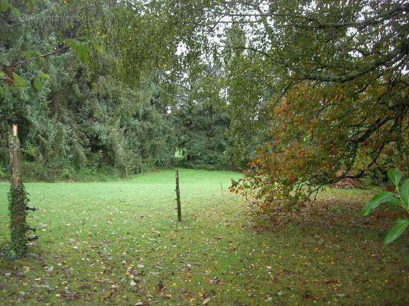 Maison à LA COQUILLE