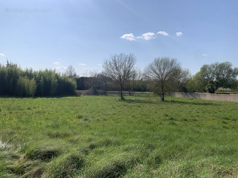 Terrain à SOMMIERES
