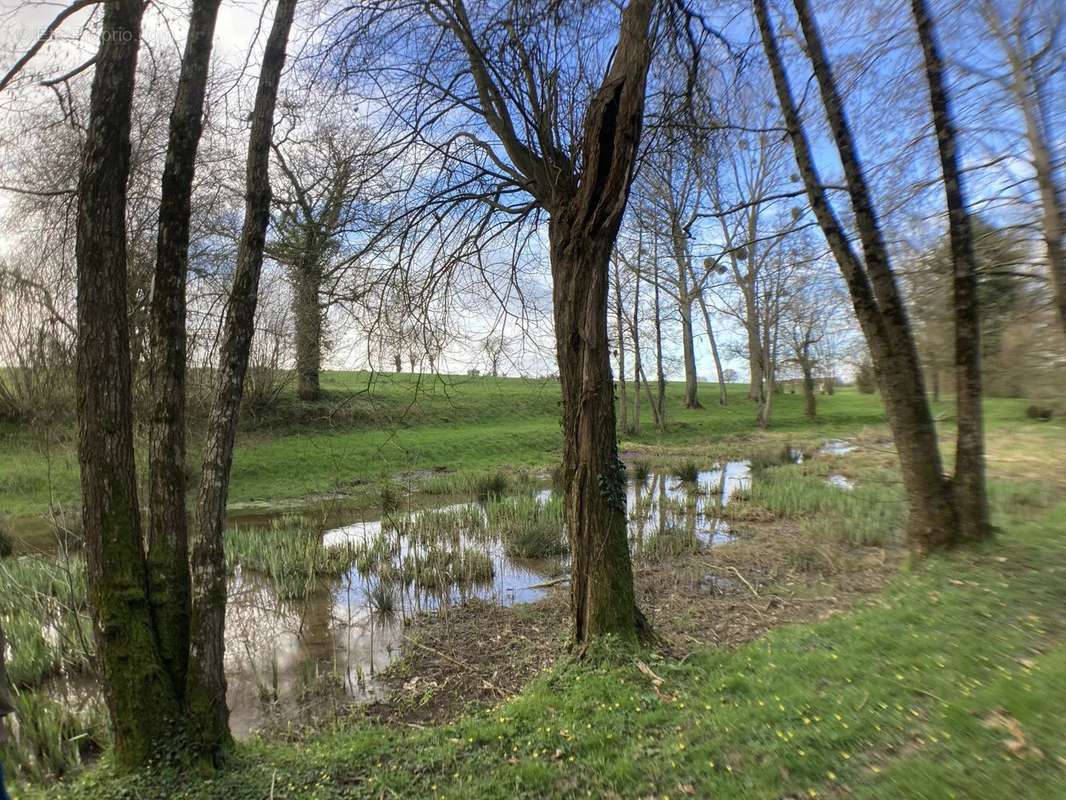 Terrain à FORGES-LA-FORET