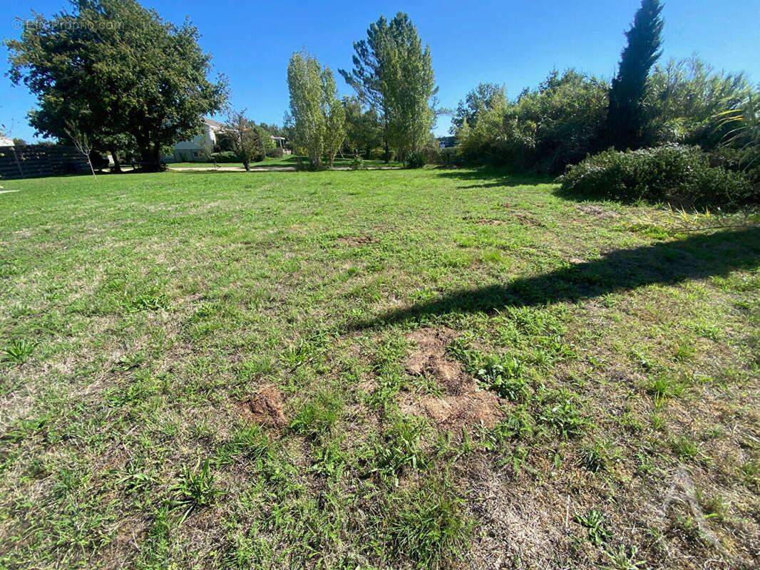 Terrain à MONTAIGU