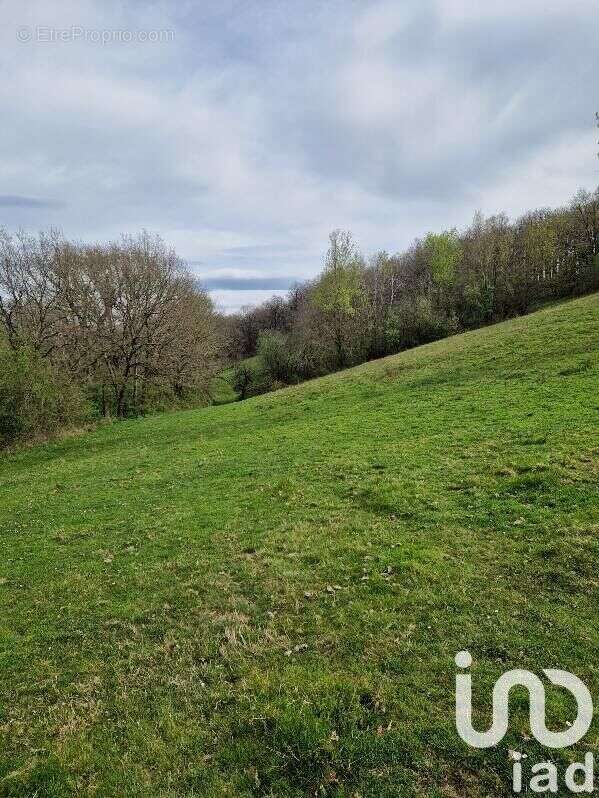 Photo 2 - Terrain à LESCURE-D'ALBIGEOIS