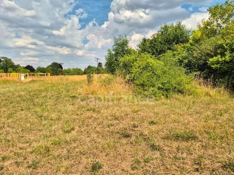 Terrain à bâtir viabilisé 553,00 m² - Libre Constructeur - photo 9