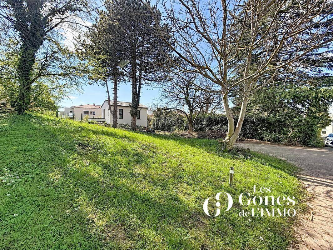Terrain à SAINTE-FOY-LES-LYON