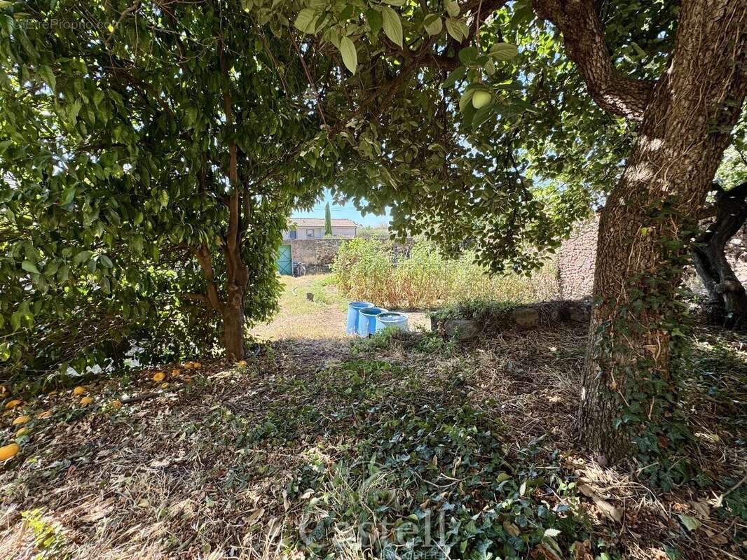 *** terrain constructible 370 m² à pomérols  terrain piscinable avec puits au cur du village *** - photo 4