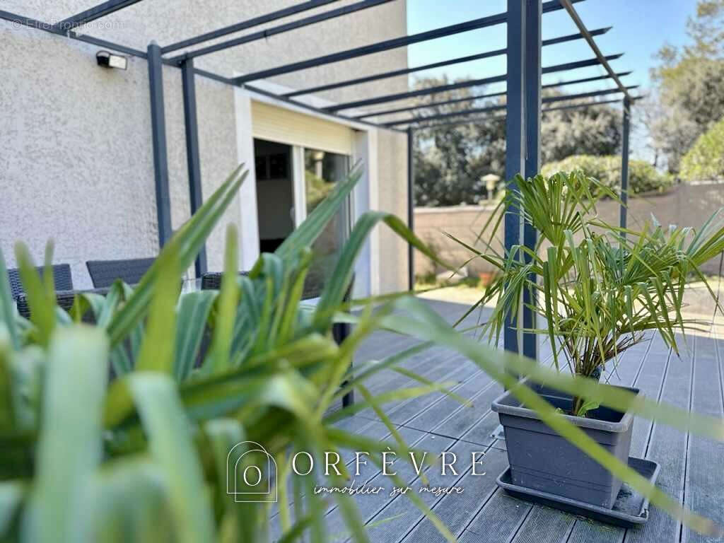 Maison à SAINT-MATHIEU-DE-TREVIERS