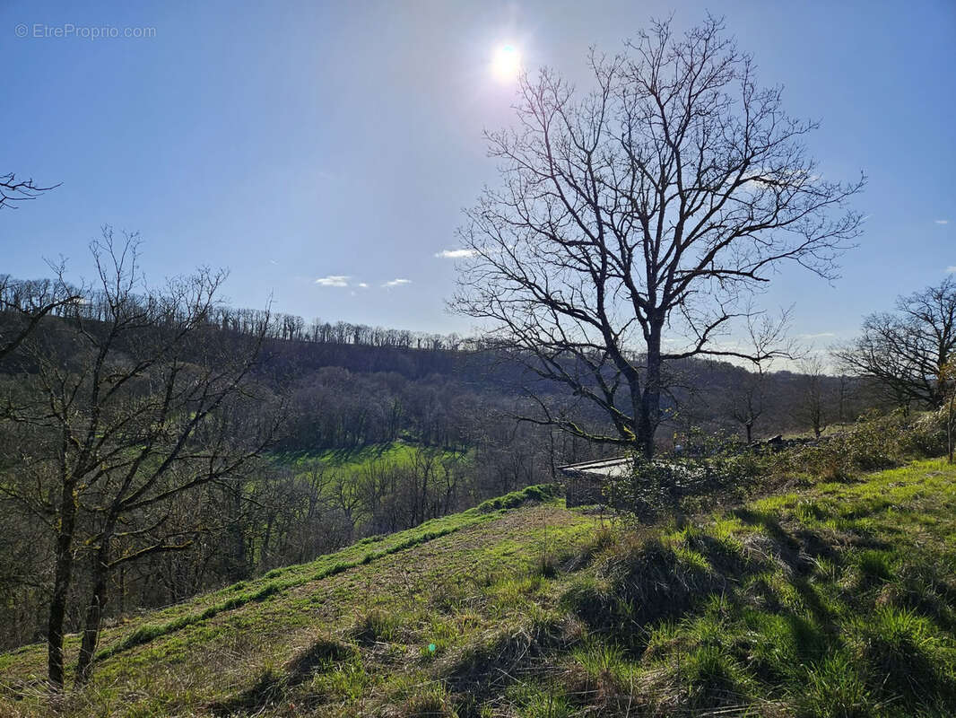 Terrain constructible de 3000 m2 avec très belle vue dégagée plein SUD secteur prisé d'Onet l'Eglise - photo 10