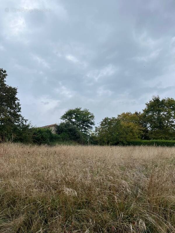 Terrain à CASTELNAU-DE-MONTMIRAL