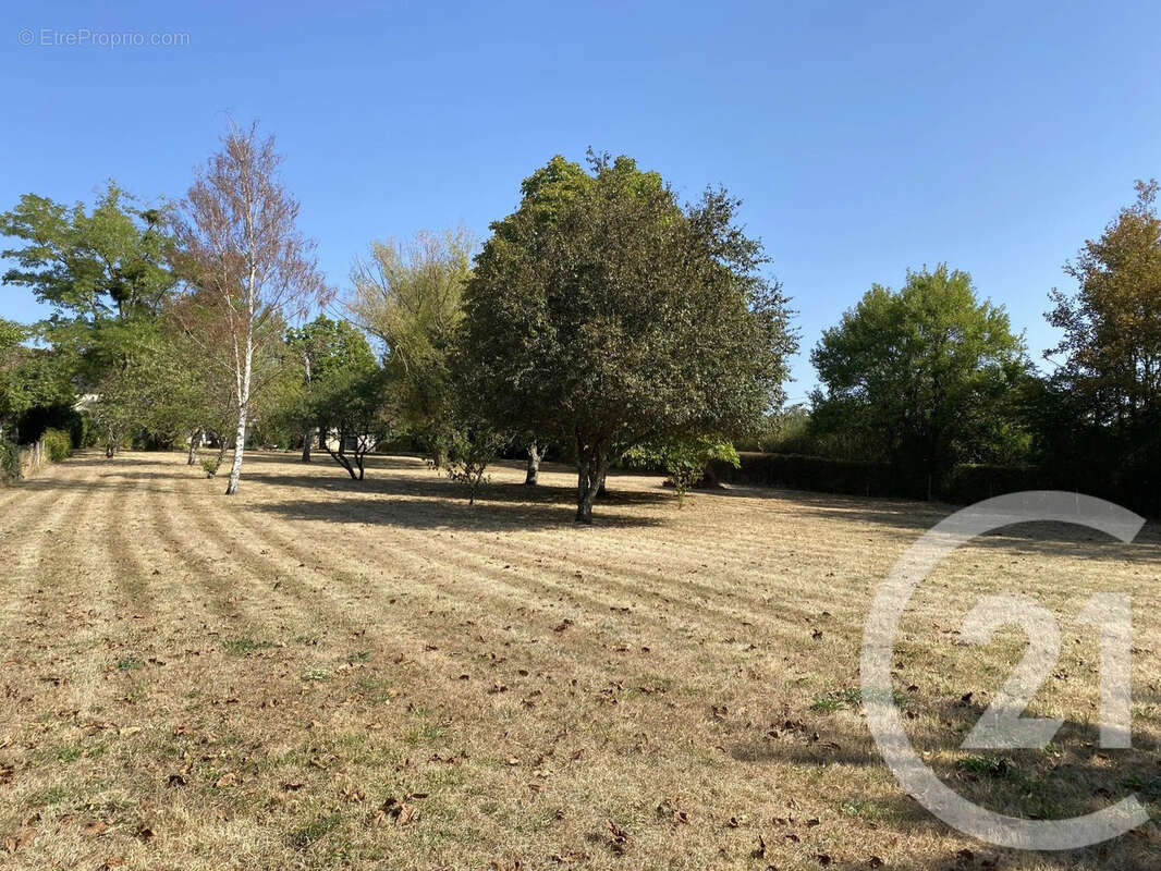 Maison 4 pièces 105 m² à vendre à Sury-En-Vaux (18300) - photo 14