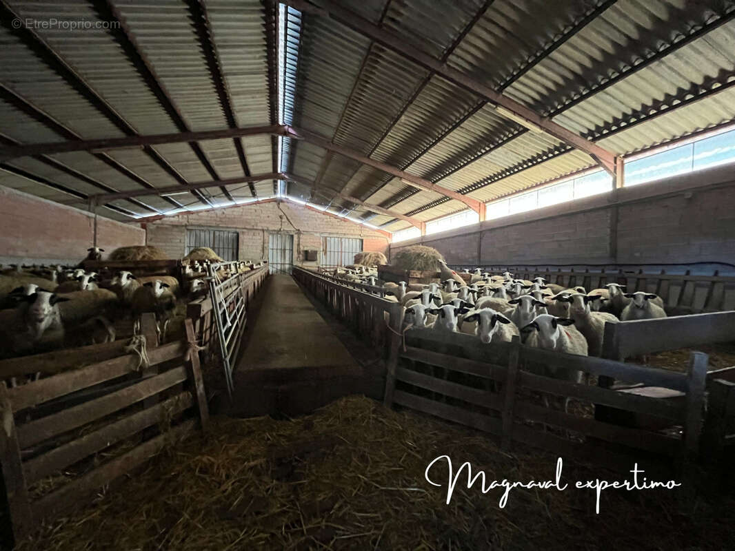 Ferme ovine de 39 HA avec fermages complémentaires possibles dans le LOT 46 OCCITANIE - photo 4
