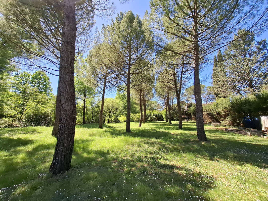 Belle villa familiale - photo 15