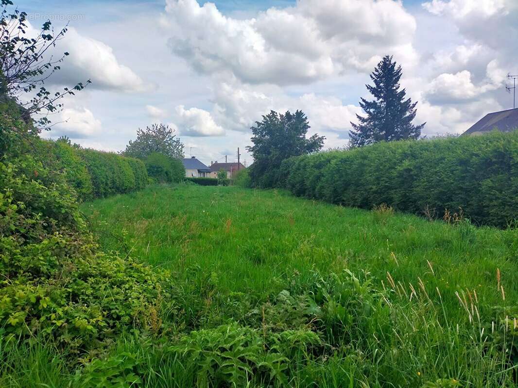 Terrain à VILLAINES-LA-JUHEL