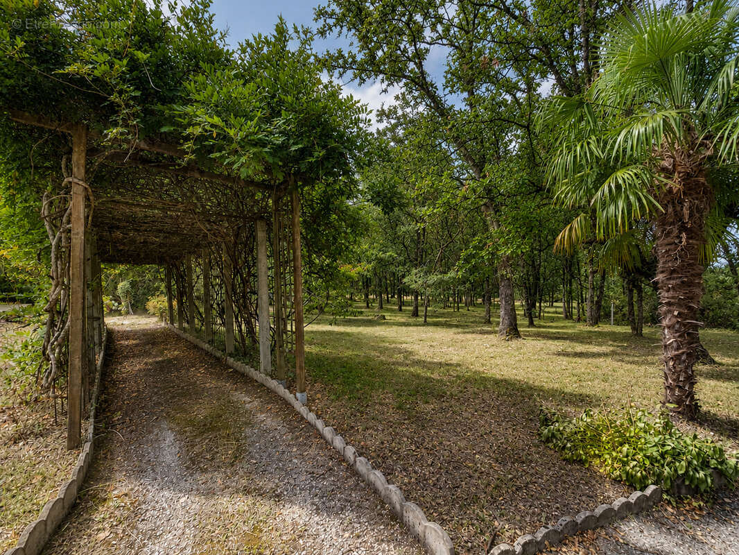 Maison familiale avec piscine, parc boisé et vie de plain-pied   À seulement 5 minutes de Villeréal - photo 5