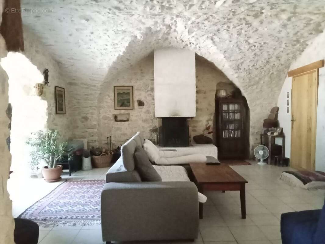 Grande maison de ville avec jardin arboré et puits. - photo 3