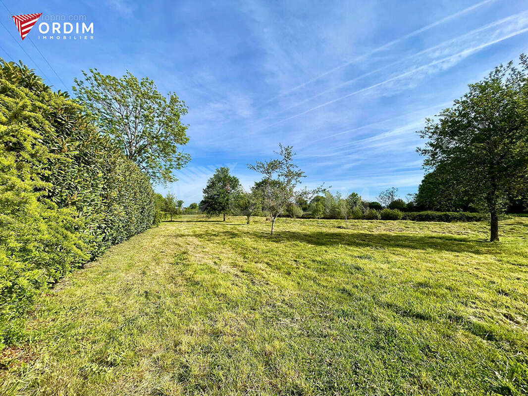 Terrain à SAINT-FARGEAU