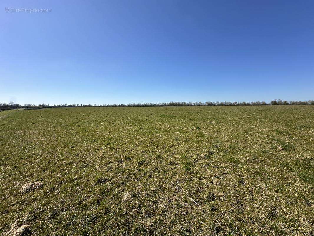 Terrain à GENNEVILLE