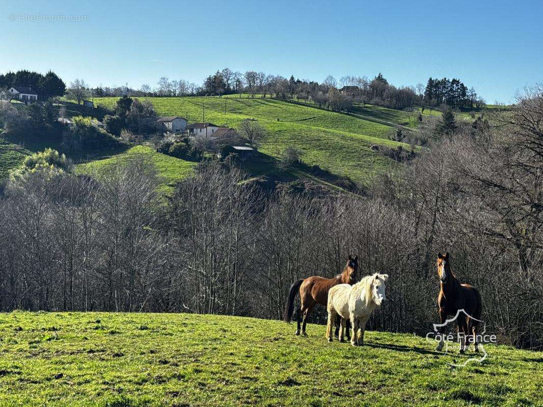 Corps de ferme avec maison d'habitation et appartement, gran - photo 4