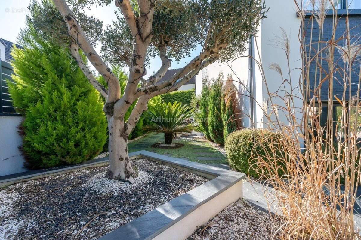 Maison à VILLEVAUDE