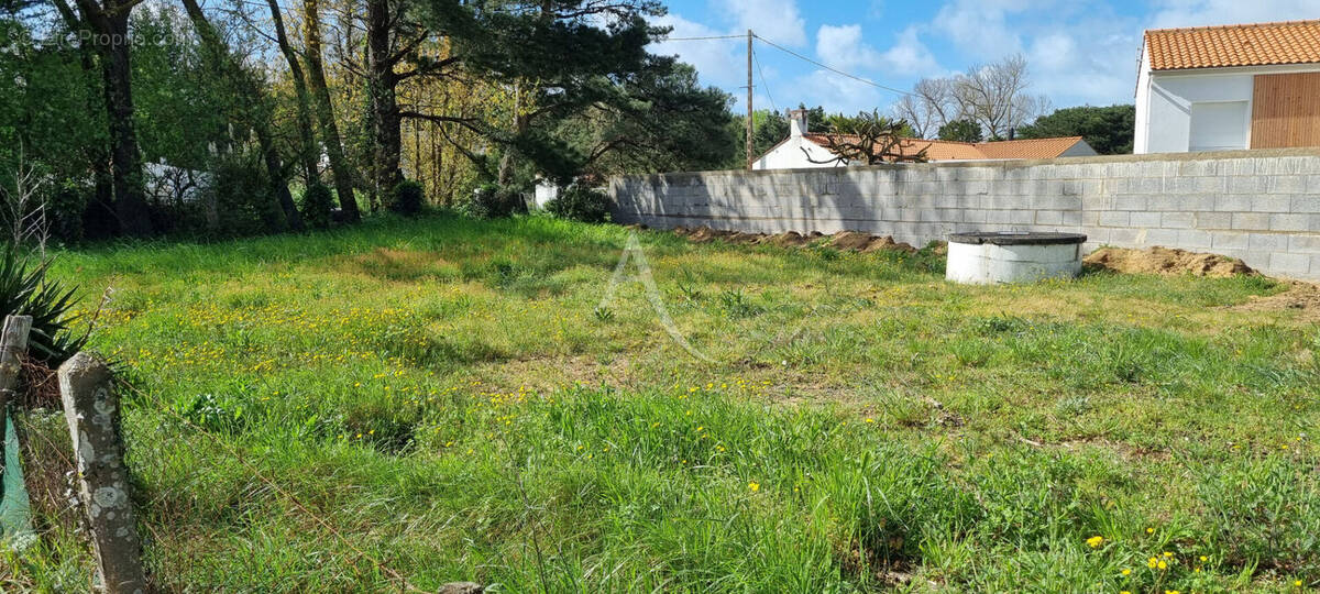 Terrain à SAINT-HILAIRE-DE-RIEZ