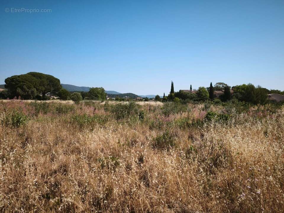 Terrain à CUERS