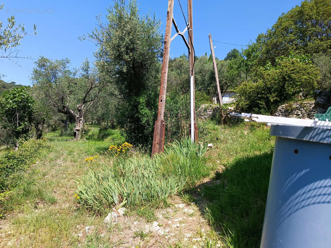 Terrain à L&#039;ESCARENE