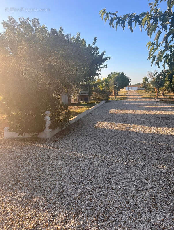 Terrain à MARSILLARGUES