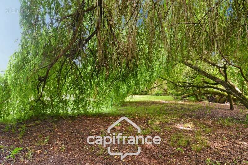 Maison à LES EGLISES-D&#039;ARGENTEUIL