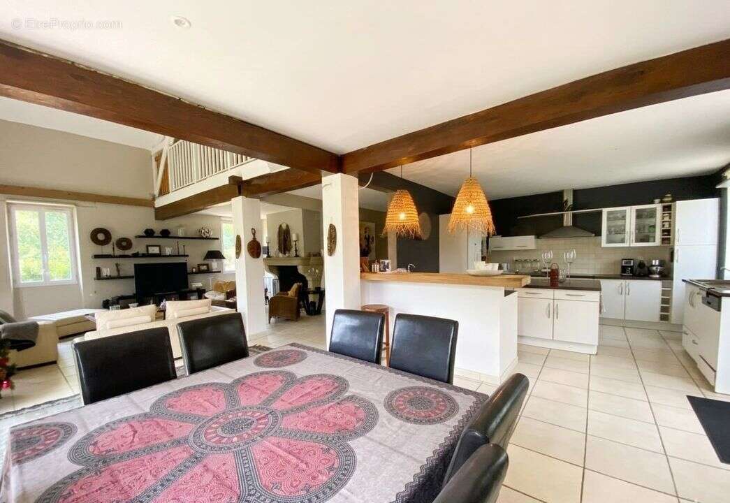 Maison de caractère en pierre 280 m² terrain de 4 hectares - photo 6