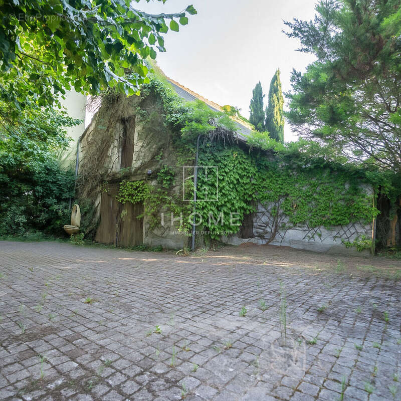 Montjean sur loire - photo 3