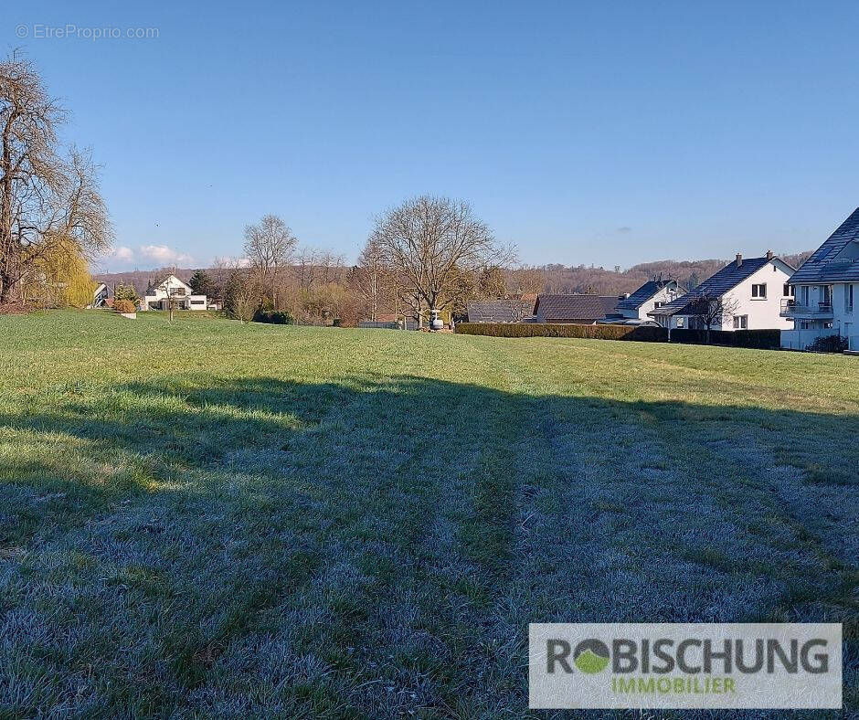 Terrain à HIRSINGUE