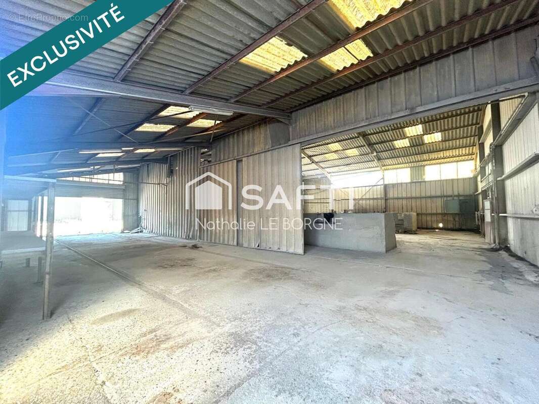 Photo 5 - Commerce à ALBI