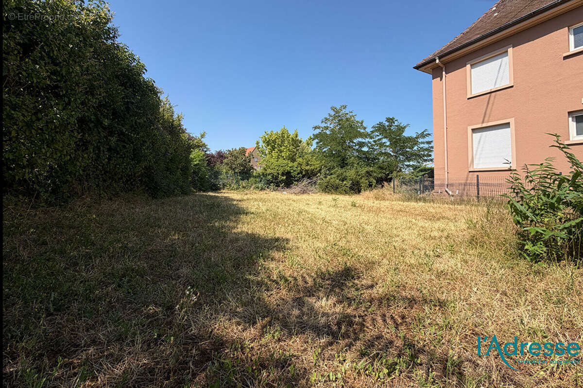 Terrain à BENNWIHR