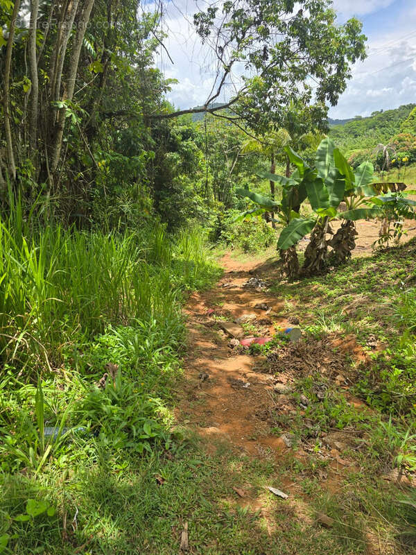 Terrain à REMIRE-MONTJOLY